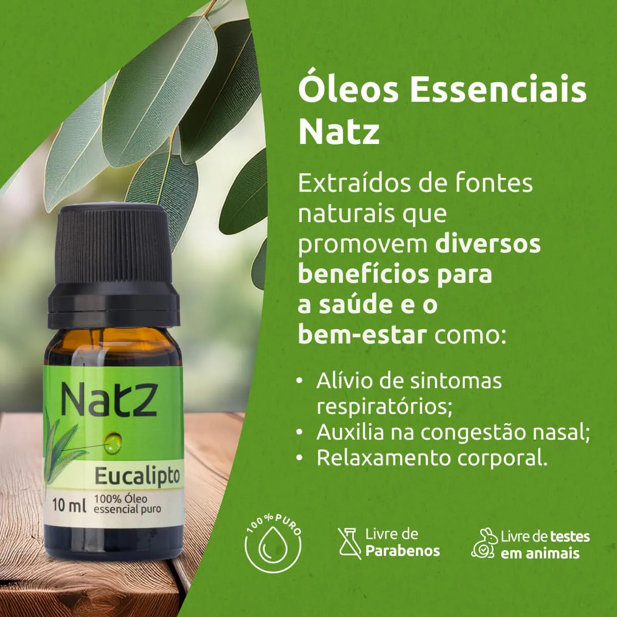 Além da Respiração: Outros Usos Incríveis do Óleo de Eucalipto no Dia a Dia