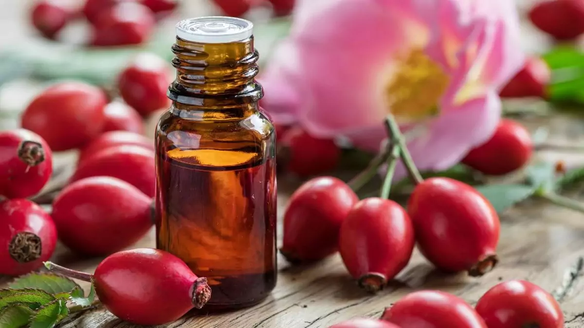 Onde Comprar Óleo de Rosa Mosqueta Epilê: Preços e Lojas