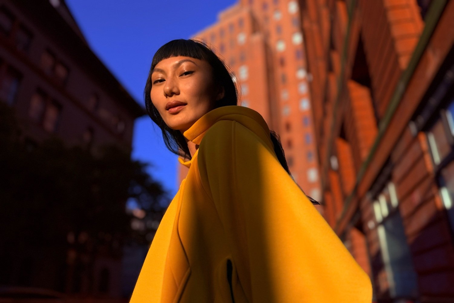 1. O que é Icterícia Ocular e Seus Sinais?
2. Olhos Âmbar e Cor de Mel: Raridade Humana
3. Tendências de Maquiagem: O Poder do Olho Laranja
4. Olhos Laranjas na Natureza: Um Fenômeno Animal
5. Quando a Cor dos Olhos Indica um Problema de Saúde?