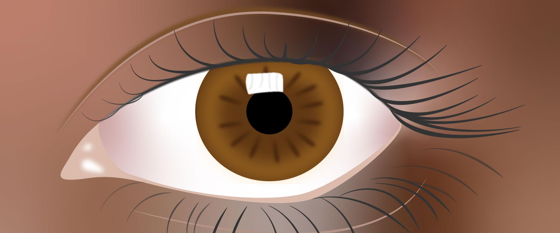 1. O que é Icterícia Ocular e Seus Sinais?
2. Olhos Âmbar e Cor de Mel: Raridade Humana
3. Tendências de Maquiagem: O Poder do Olho Laranja
4. Olhos Laranjas na Natureza: Um Fenômeno Animal
5. Quando a Cor dos Olhos Indica um Problema de Saúde?