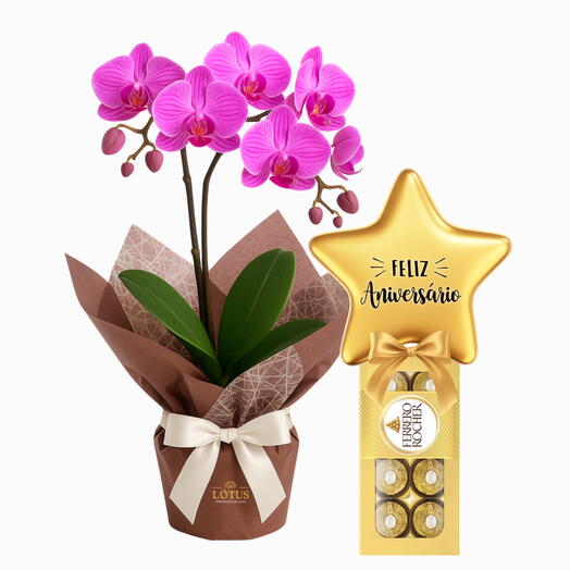 Orquídeas Online: Vantagens e Cuidados ao Comprar Pela Internet