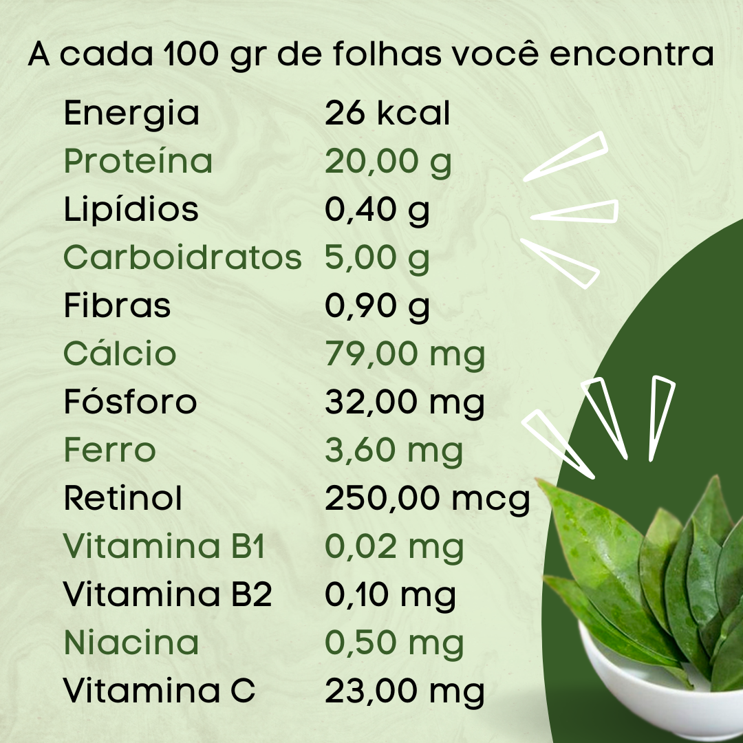 Como Cultivar Ora-pro-nóbis em Casa: Guia Completo