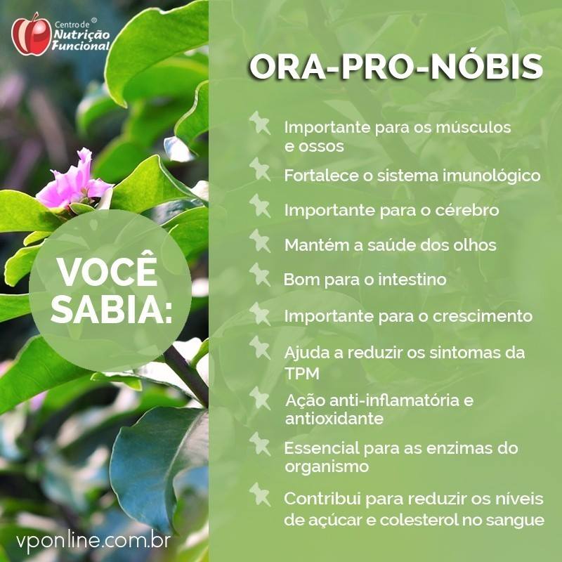 Mitos e Verdades sobre a Ora-pro-nóbis: O Que Você Precisa Saber