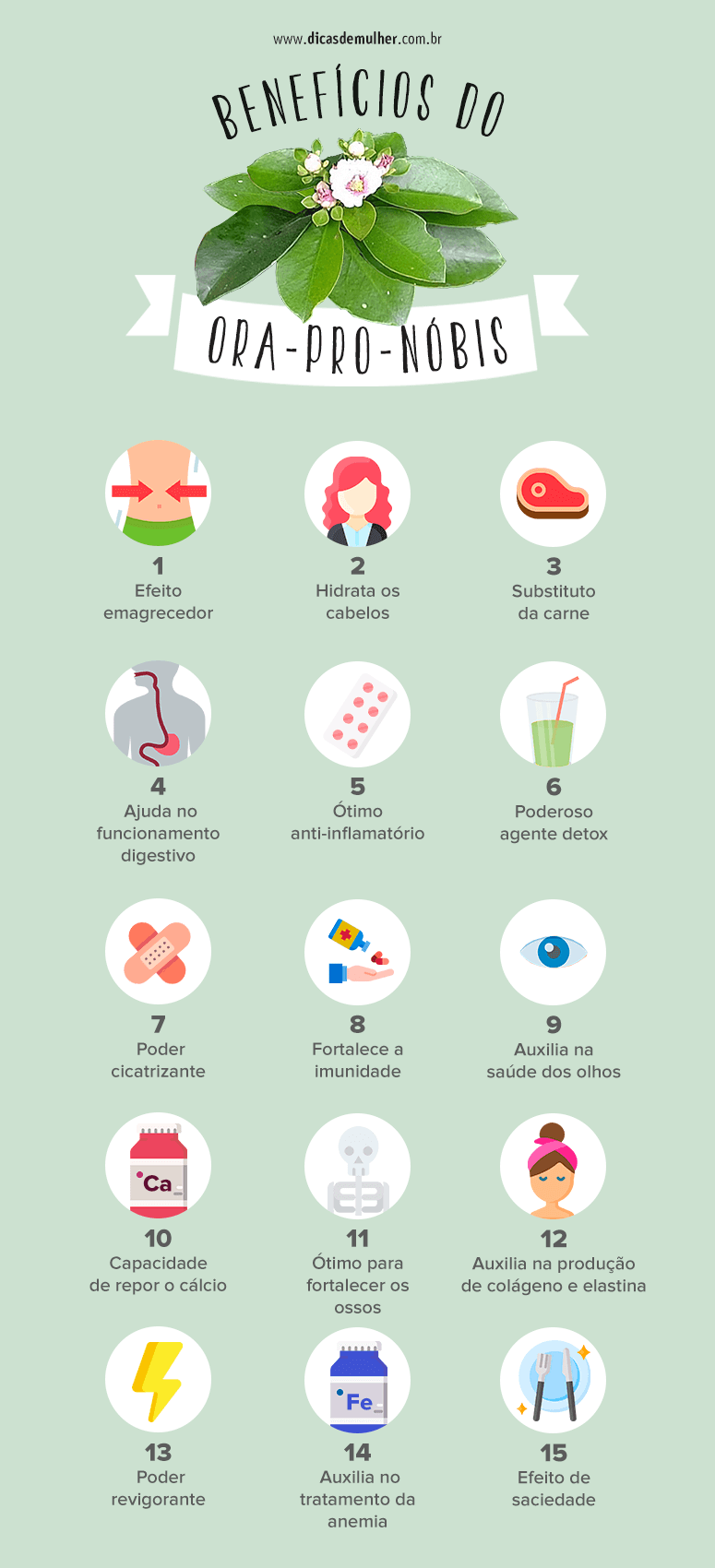 ora pro nobis beneficios