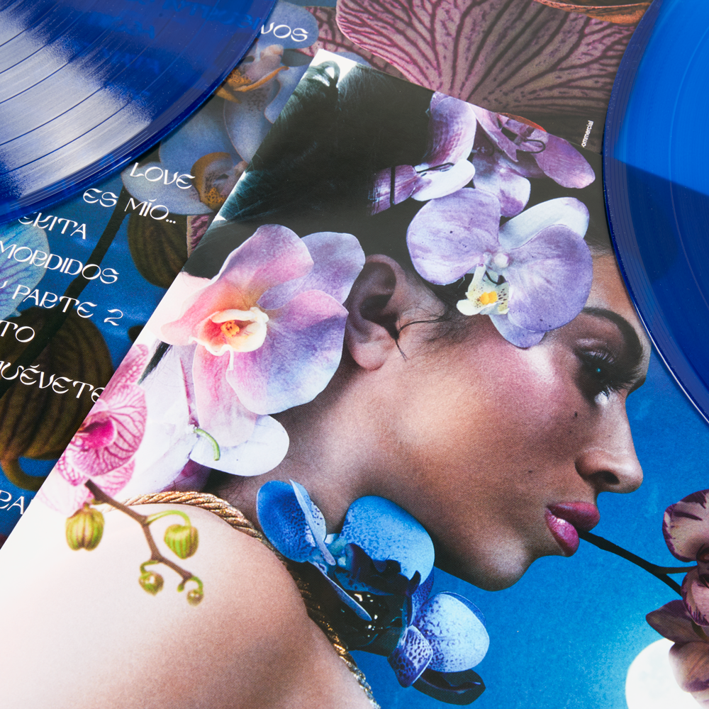 como cuidar de orquídeas