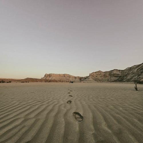 A Importância da Conservação dos Ecossistemas Desérticos