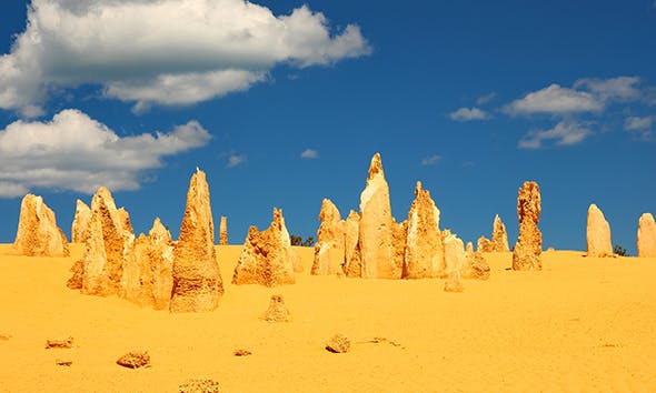 Como a Vida se Adapta à Aridez Extrema dos Desertos