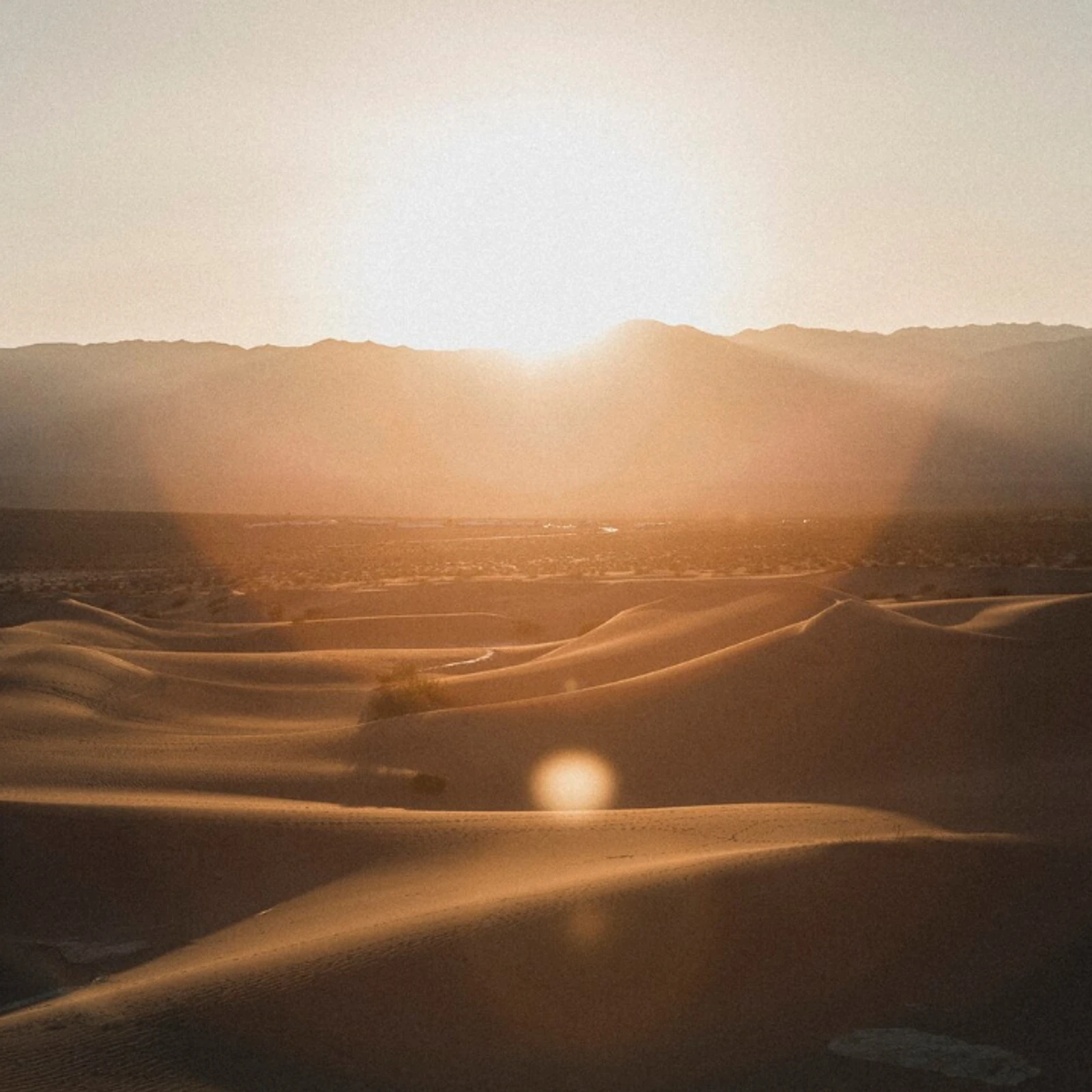 A Importância da Conservação dos Ecossistemas Desérticos