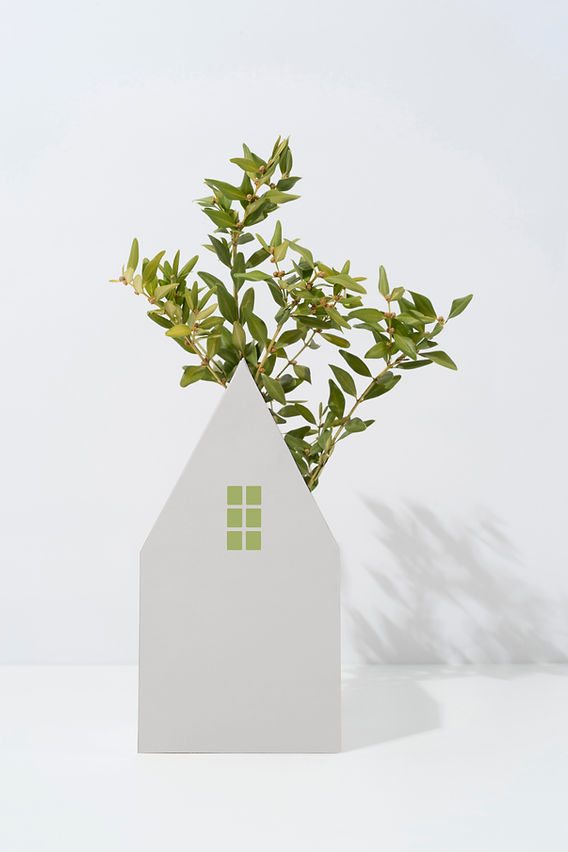 paisagismo minimalista