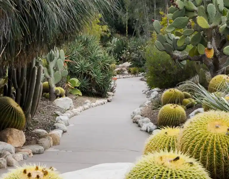 10 ideias incríveis jardim inverno cactos areia colorida