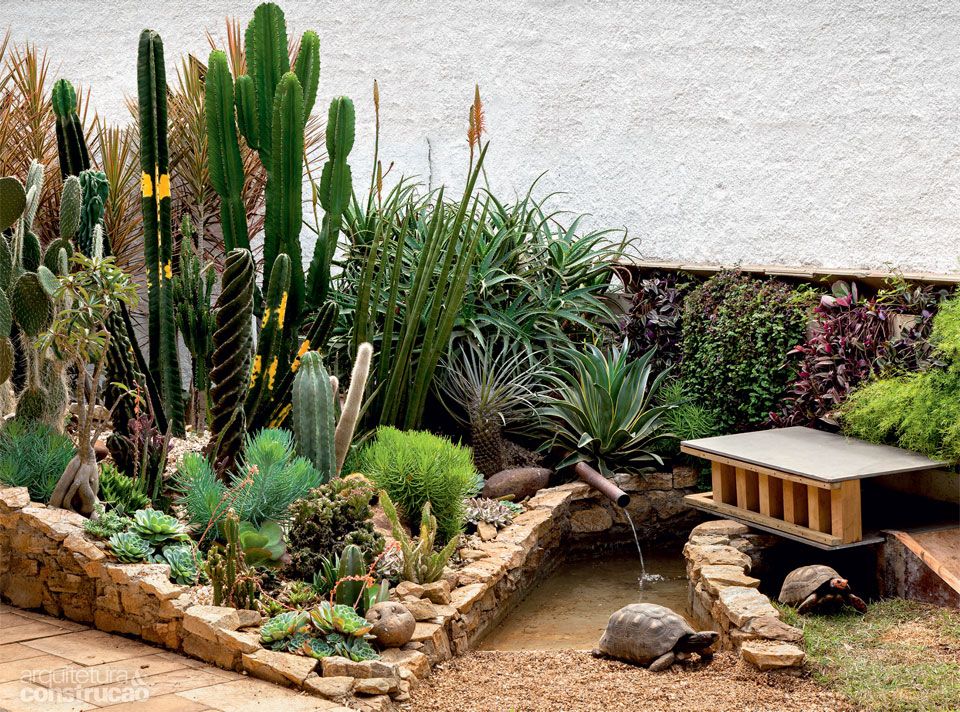 erros comuns paisagismo jardim inverno cactos evitar