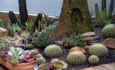 quanto custa montar jardim inverno cactos areia colorida