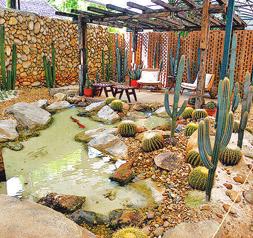 areia colorida ou pedriscos qual melhor jardim cactos