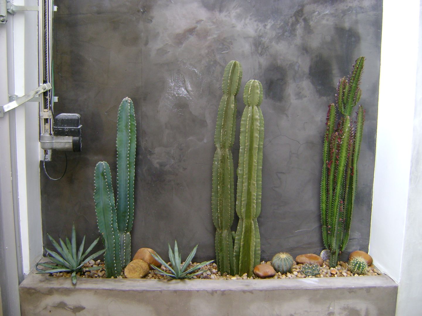 areia colorida ou pedriscos qual melhor jardim cactos