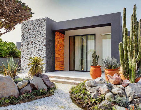 melhor substrato drenagem cactos jardim inverno