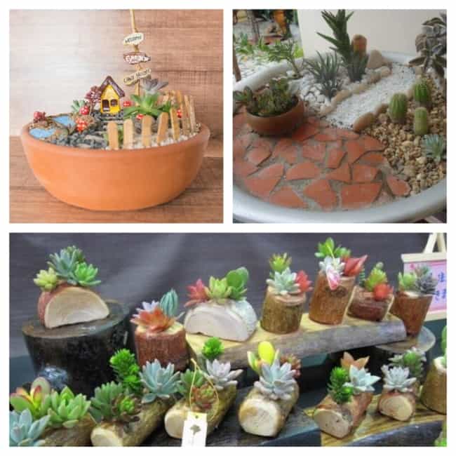 10 ideias incríveis jardim inverno cactos areia colorida