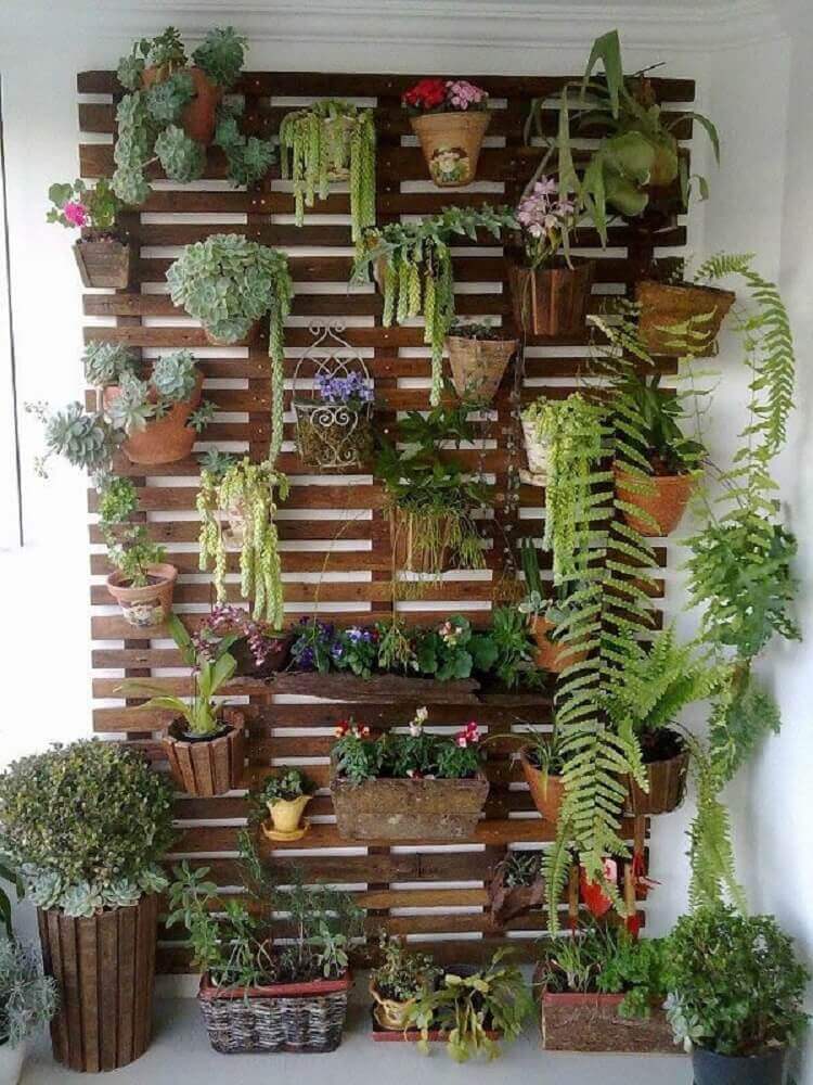 melhores plantas para jardim vertical interno com pouca luz