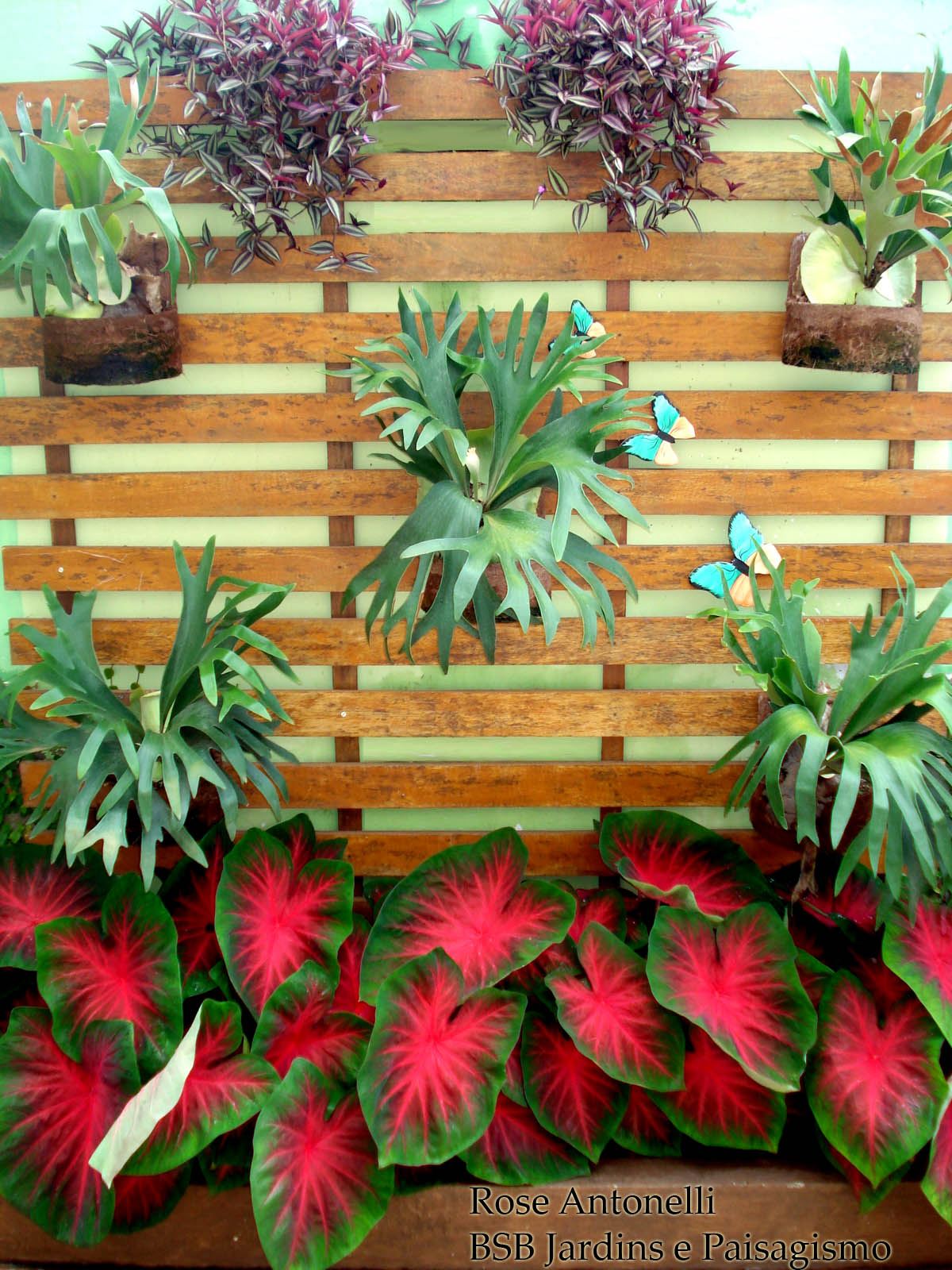 erros comuns ao montar jardim vertical interno