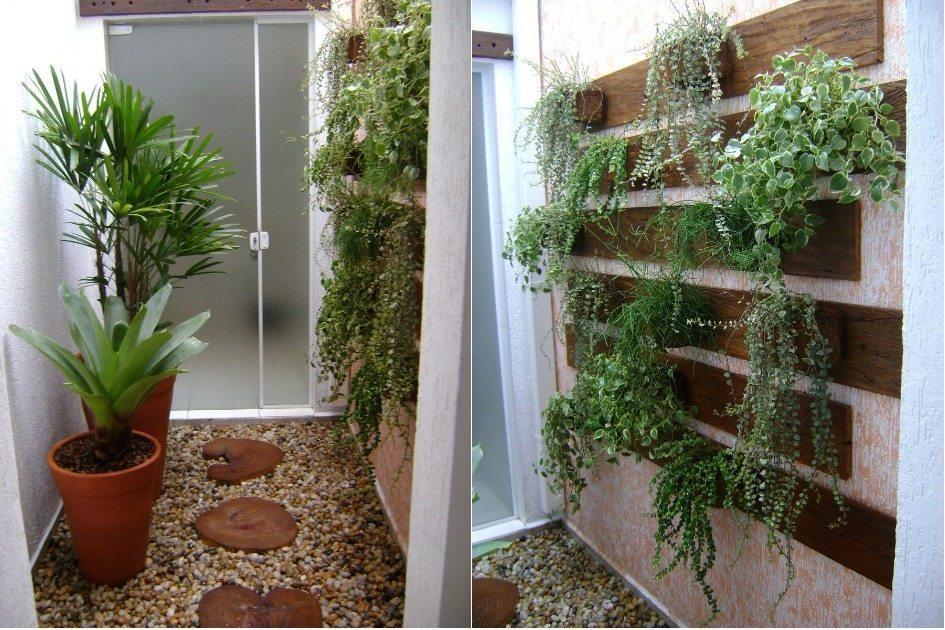 melhores plantas para jardim vertical interno com pouca luz