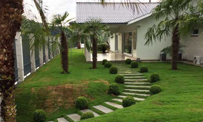 Guia Completo: Como Escolher as Melhores Plantas para seu Paisagismo Residencial