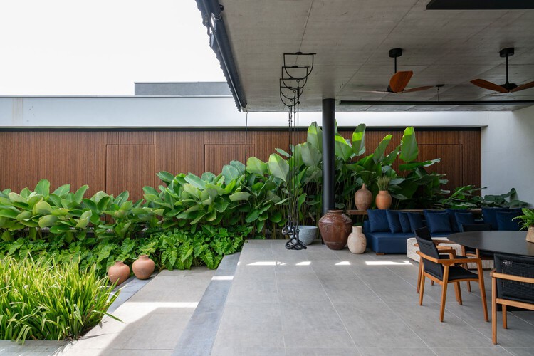 Guia Completo: Como Escolher as Melhores Plantas para seu Paisagismo Residencial