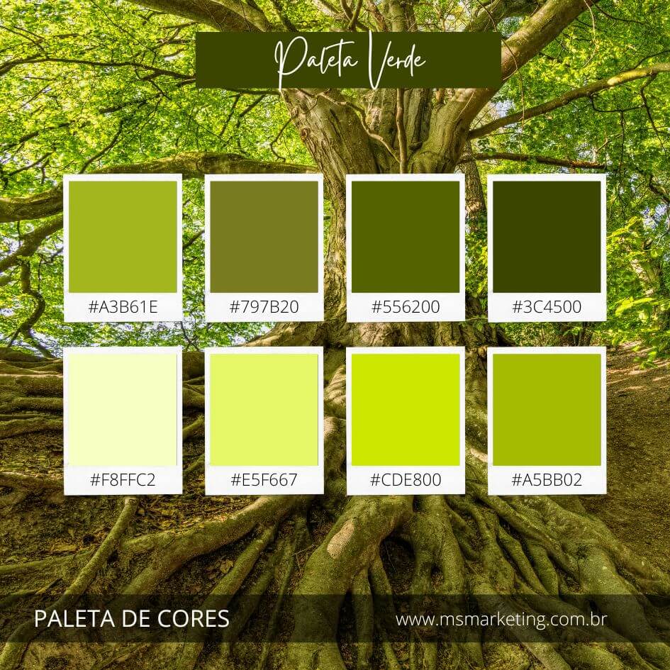 paleta cores terrosas