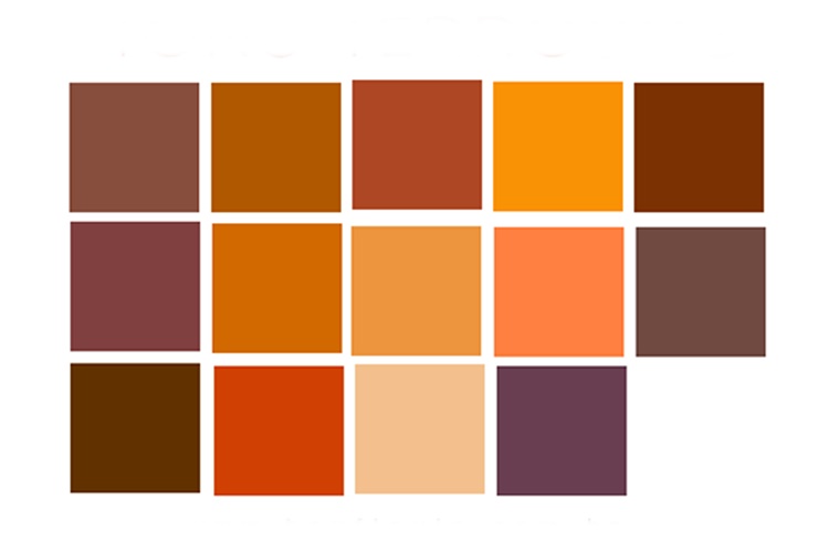 paleta de cores que combinam com terracota