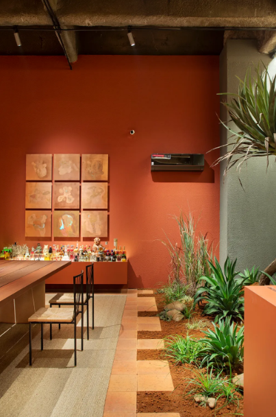 terracota vs. tons terrosos: qual escolher