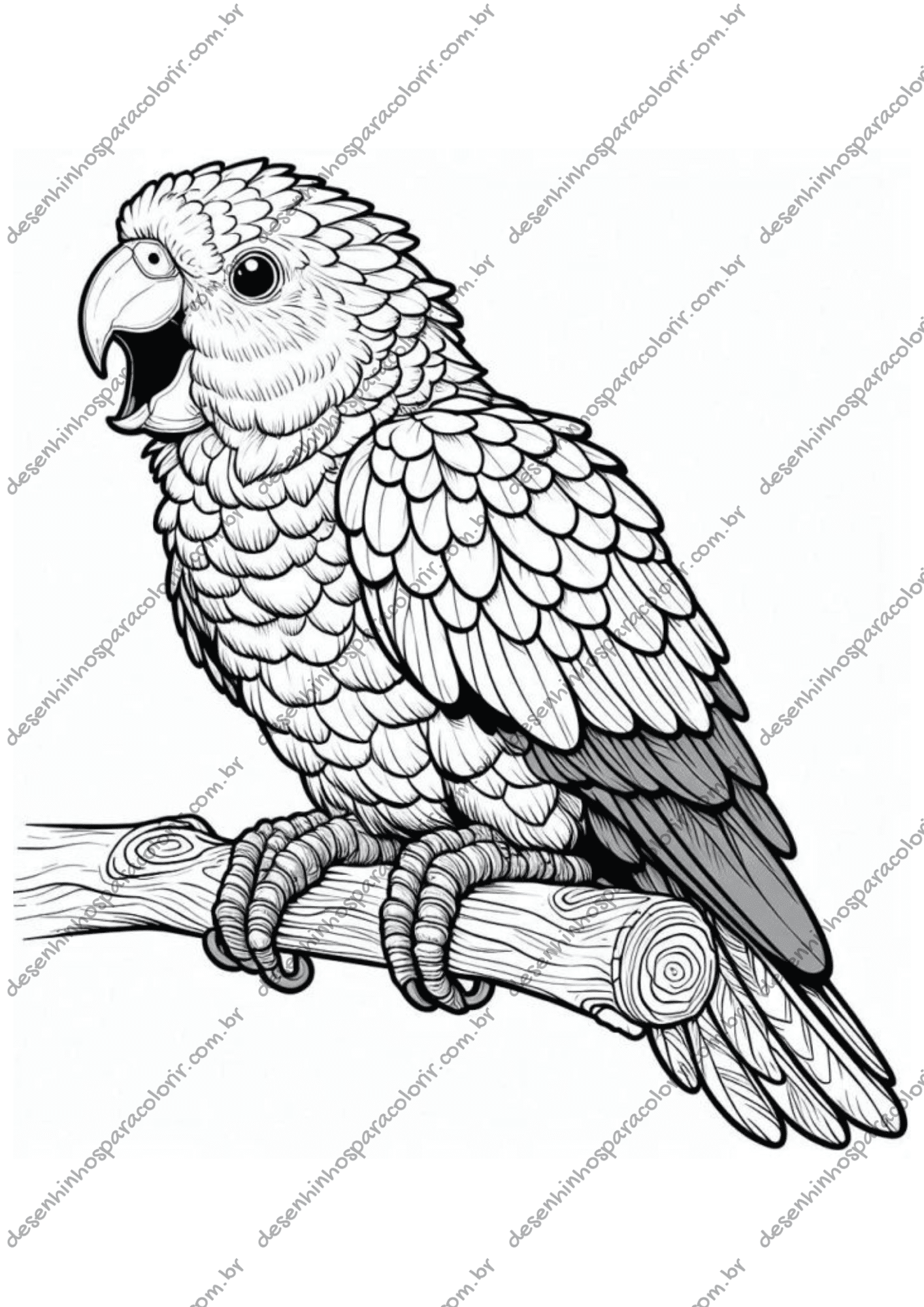 desenho de papagaio para pintar