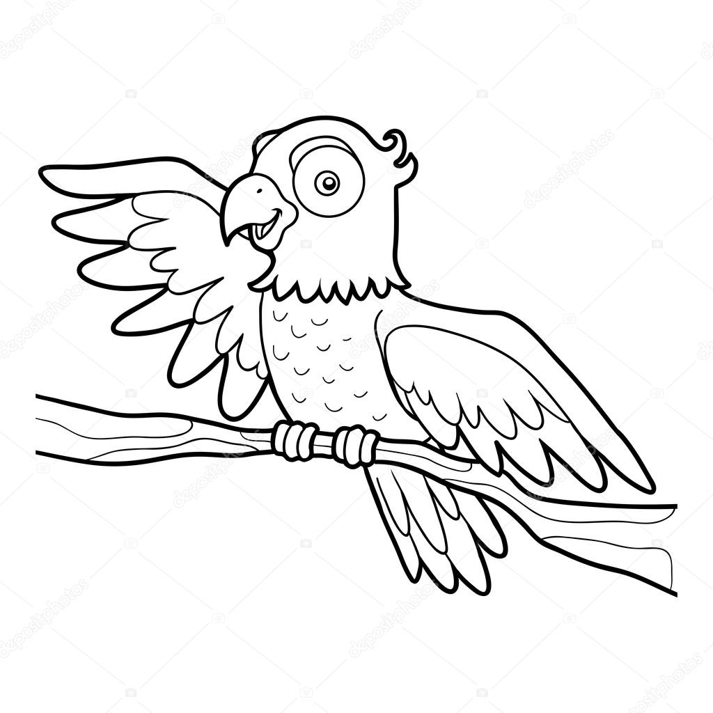 desenho de papagaio para pintar