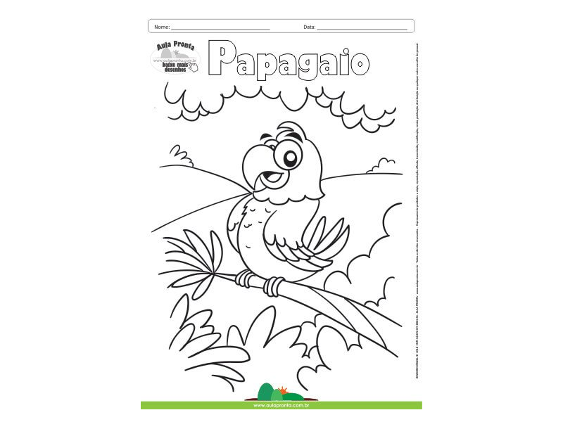 colorir pássaros tropicais