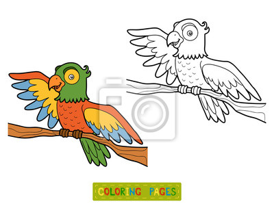 papagaio realista para colorir