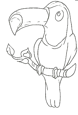 desenhos de araras para colorir