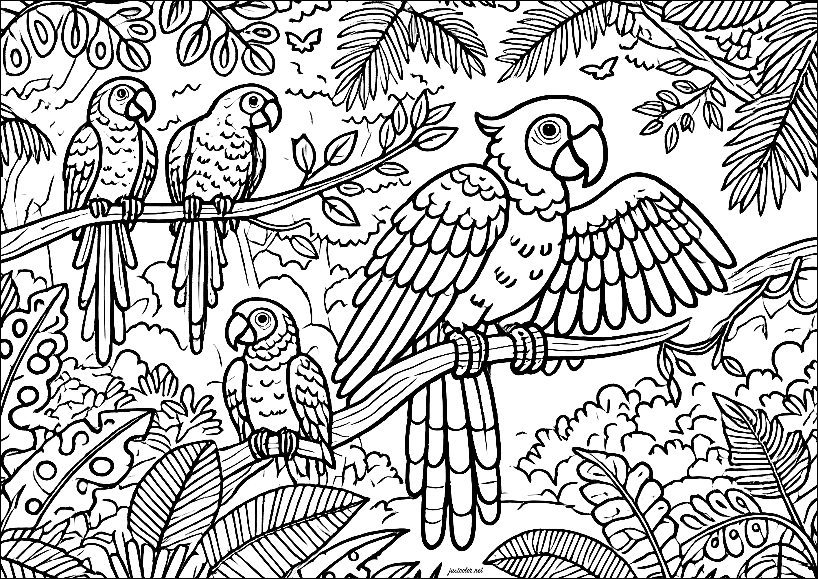 papagaio simples para colorir