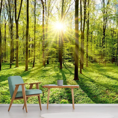 papel de parede paisagem mar