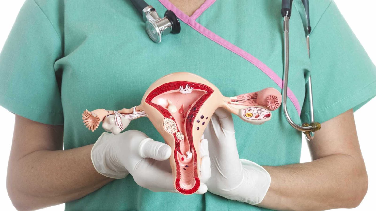 Saúde vaginal: além do Papanicolau, quais exames são importantes