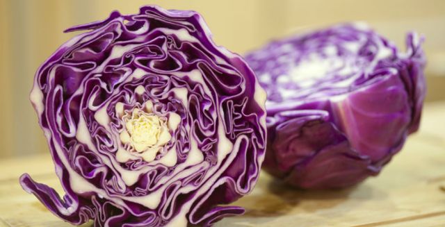 5 ideias de títulos:
1. Repolho: O Superalimento Versátil para Sua Saúde e Cozinha
2. Desvendando os Benefícios do Repolho: Da Digestão à Pele
3. Receitas Incríveis com Repolho: Do Chucrute aos Charutos
4. Repolho Verde vs. Roxo: Qual Escolher e Como Preparar?
5. Evitando Gases e Desconfortos: Dicas para Consumir Repolho