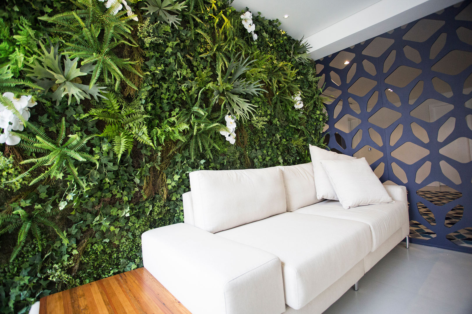 Tipos e Onde Comprar em 2024