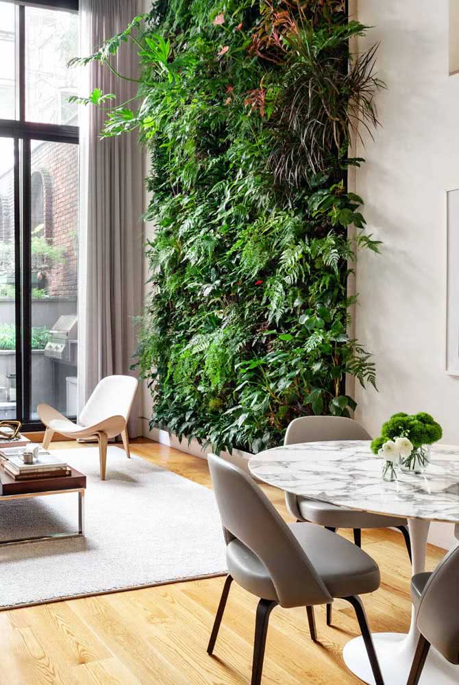 Tipos e Onde Comprar em 2024