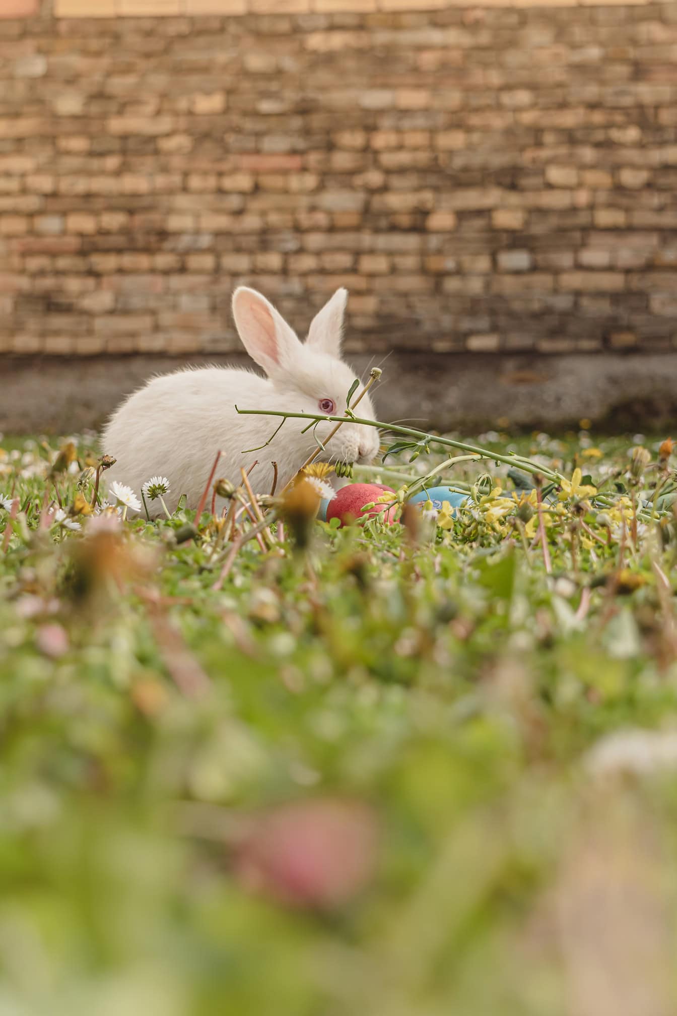 Como criar seu próprio papel de parede de Páscoa