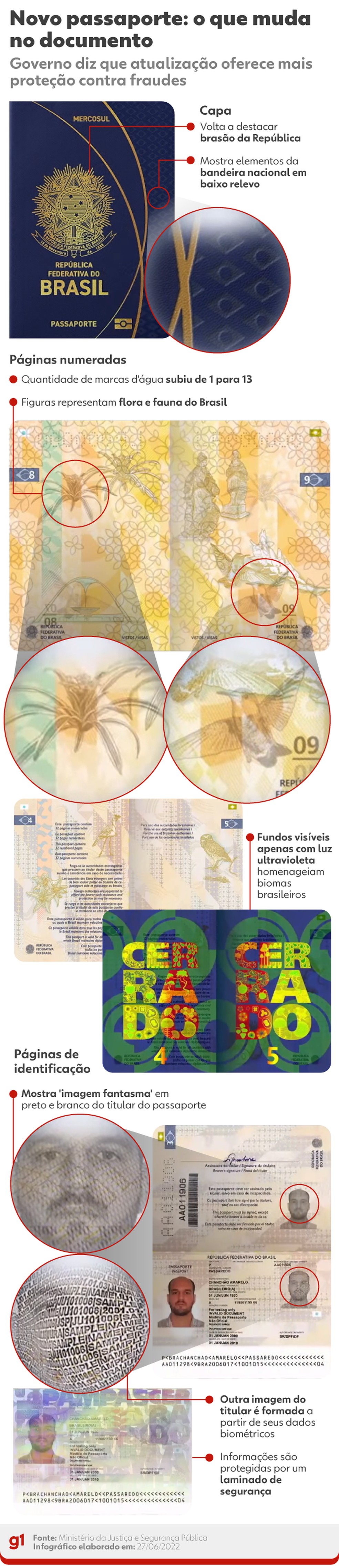 como tirar e o que fazer se o passaporte vencer