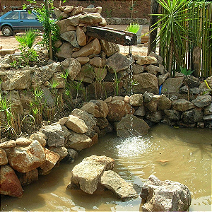 Bombas e Filtros para Cascatas: Escolha a Melhor Opção para seu Projeto