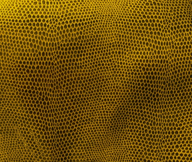 Vitamina C: O Segredo para uma Pele Luminosa e Uniforme