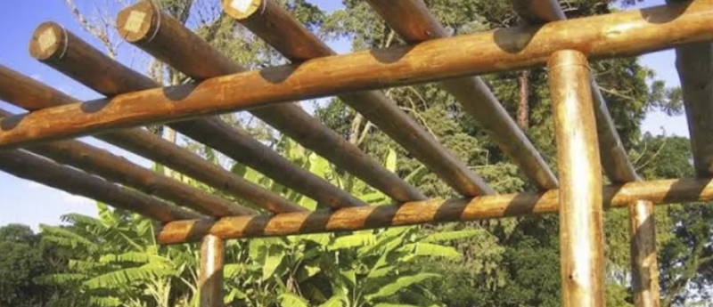 Pergolado de eucalipto com plantas trepadeiras