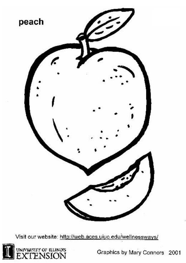 Desenho de pêssego no estilo aquarela