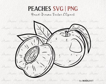 Guia de cores para ilustrações de frutas