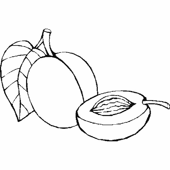 Guia de cores para ilustrações de frutas