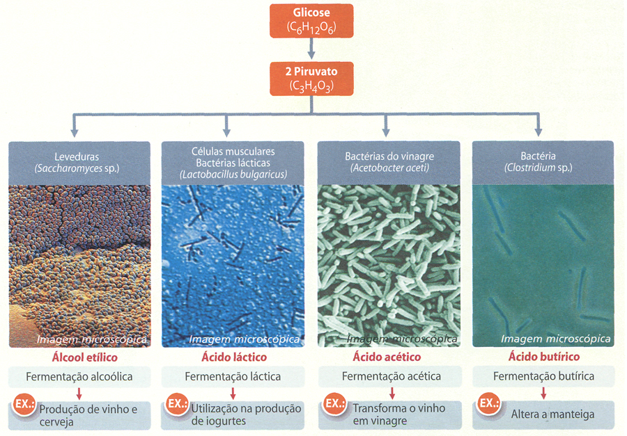 5 ideias de títulos:
1. Desvendando o pH do Vinagre: Um Guia Completo para Entender sua Acidez.
2. pH do Vinagre: Qual o Ideal para Cada Tipo e Uso?
3. Vinagre: Da Acidez à Concentração