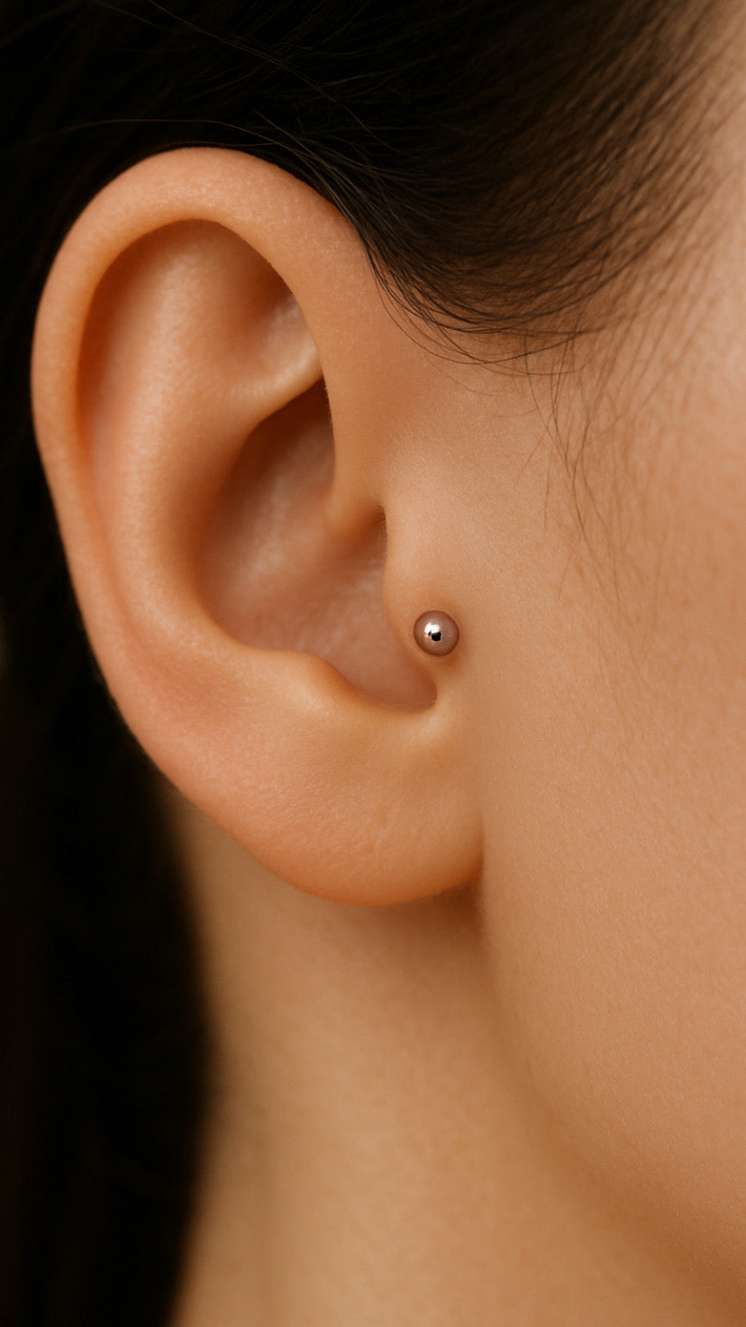 piercing no tragus