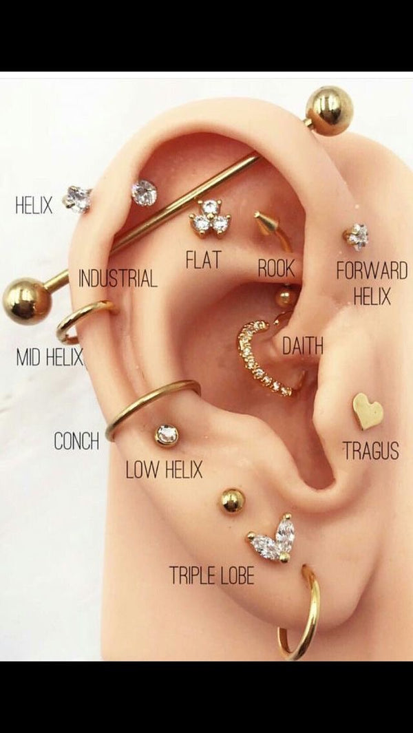 piercing no tragus